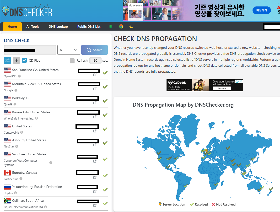 dnschecker.org A레코드 전파 상태 정상 확인 화면